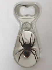 BAR OR KITCHEN PARTY BOTTLE OPENER WITH REAL INSECT SPIDER IN LUCITE