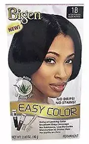 Bigen Easy Color Intense Black 1B