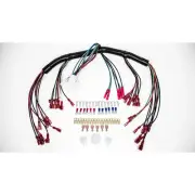 Intellitronix FP30302 Wire Harness 10 Circuit Univ