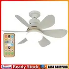40W 20 in LED Fan Lamp Outdoor Ceiling Fan 6 Blade with Remote Control & Timer