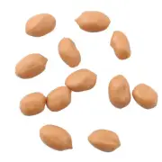 50pcs Imitation Groundnut Kernels Artificial Fake Groundnut Kernels PVC Faux ...