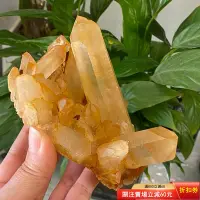 在飛比找Yahoo!奇摩拍賣優惠-B260天然原礦黃皮水晶晶簇！造型漂亮，晶柱干凈透亮！實物非