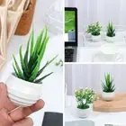 Plants Fake Flowers Artificial Aloe Plants Bonsai Office Table Potted Ornaments