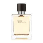Terre D'Hermes 100ml EDT By Hermes (Men's)