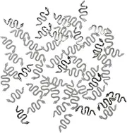 HONMEET 50pcs Retro Snake Nail Charms Snake Nail Decorations Unique Design for Christmas Birthdays Anniversaries and DIY Crafting