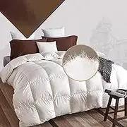 White Goose Feathers Down Comforter Queen/King Size Duvet Insert, 700+ Fill Power, 100% Cotton Fabric,Premium Bedding Down Comforters Warm Quilt for All Seasons with 8 Tabs,White,220x240CM/87 x94
