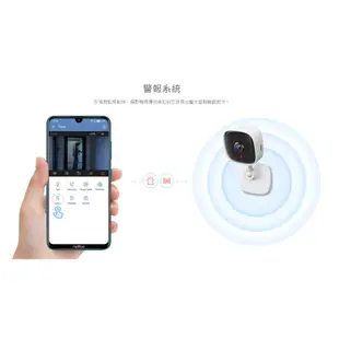 【TP-Link】Tapo C110 2K WIFI攝影機 網路監視器 監控 遠端APP操控 夜視高畫質 雙向語音