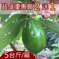 在飛比找台灣好農優惠-大內楊家有機酪梨(轉色種)5台斤 超值優惠 買二送一