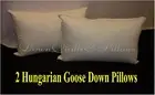 2 STANDARD SIZE PILLOWS SOFT - 95% HUNGARIAN GOOSE DOWN - EUROPEAN QUALITY