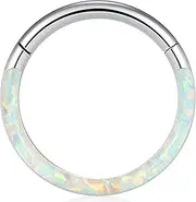 Uzgtvy 16G Opal Septum Rings Hoop Nose Ring Lip Rings Stainless Steel Hinged Segment Ring Seamless Clicker Ring Cartilage Earrings Hoop Helix Tragus Septum Piercing Jewerly