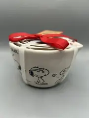 Rae Dunn Peanuts Snoopy Valentines Day Measuring Cups Hearts SMACK 2025 NEW