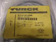 Turck Proximity Switch BL2-G12K-AN6X