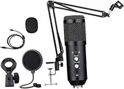 Abaodam 1 Set Condenser Microphone Echo Microphone Computer Holder Microphone for Studio Computer Microphone Condenser Mic Mount Computer Play Microphone Studio Microphone Kit Metal Black