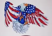 American Flag Angled Eagle decal Camper RV Gof Cart Sticker decals Corn hole
