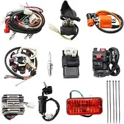 Complete Electrics 4 Stroke ATV QUAD 150 200 250 300CC Wiring Harness CDI 8 Coil Stator Tail Light Zongshen Lifan