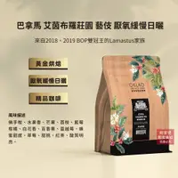 在飛比找蝦皮商城優惠-【歐客佬】巴拿馬 艾茵布羅莊園 藝伎 厭氧緩慢日曬 咖啡豆(