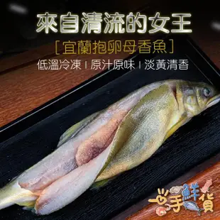 【一手鮮貨】宜蘭爆卵母香魚(2盒組/單盒950g±5%)