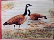 JOYCE BEEBE 1986 FALL CANADA GEESE WATERFOWL PAIR PAINTING PATTERN PACK