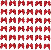 Mini Satin Ribbon Bows Flowers Red Craft Satin Ribbon Bows 1 Inch Pre-Tied Small Christmas for Flowers Appliques DIY Craft for Sewing Scrapbooking Wedding and Gift (200pcs)
