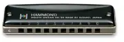 Suzuki Hammond HA-20 Promaster Harmonica E Key 10-Hole Diatonic Black