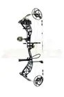 Bear Whitetail INT RTH - Left Hand - 70lbs - 26"-30" - MOB Black - AV56A411D7L