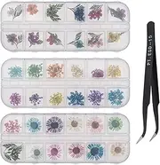 EMSea 3 Boxes Nail Art Mixed Dried Flower Kit,3D Natural Dried Five Petal Flower Daisy Gypsophila Leaf with Tweezers for Manicure Nail Art Decoration Design Craft DIY Accessories