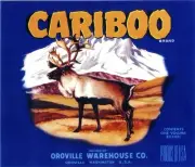 Oroville Washington State Cariboo Deer Antelope Apple Fruit Crate Label Print