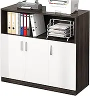 Filing Cabinet File Cabinet Office Partition Cabinet Against The Wall Storage Cabinet Home Filing Cabinet Simple Data Cabinet File Storage Cabinet File Storage Cabinets (Color : B-120 * 40 * 120cm)