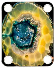 Neckplate to fit Electric Guitar Color Graphic PJ Bass Strat Tele Agate Slice