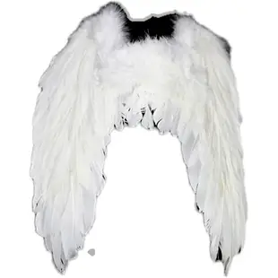 新款六一兒童羽毛天使翅膀白色演出道具兒童走秀裝飾玩具公主禮物
