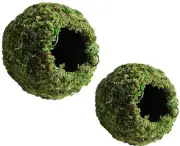 Galapagos Pet Reptile Moss Cave Small Animal Natural Shelter Mossy Hide 4" & 6"
