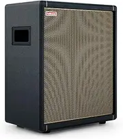 [Positive Grid] Spark CAB Powered Guitar Amp Speaker Cabinet for Spark Series Amps, Multiple Instruments, Modelers, and More