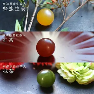 日本 YUSHINDO 玉羊羹禮盒 日式點心 禮品羊羹 母親節 送禮 黑糖 蜂蜜 紅茶 抹茶 紅豆 紫芋 茶點 生日 慶祝【小福部屋】