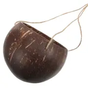 Coconut Shell Hanging Flower Pot Baskets for Plants Outdoor Decorative
