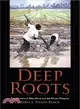 Deep Roots ― Rice Farmers in West Africa and the African Diaspora