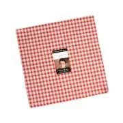 FG Woven Ginghams Layer Cake® 12223LC Moda Precuts pre-cut Layer Cake 10" squar