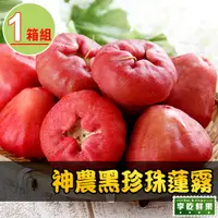 在飛比找PChome24h購物優惠-【愛上新鮮】神農黑珍珠蓮霧 x1箱(4台斤/箱，約22~25