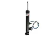 Shock absorber MAGNUM TECHNOLOGY APB007MT for BMW X5 (F15, F85) 2.0 2015-2018 (for: BMW)