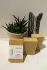 UNSCENTED - Moisturizing Beef Tallow Handmade - Goat Milk Bar Soap, wt. 4oz