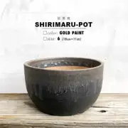 Kamiyama SHIRIMARU Kinsai Pot Shigarakiyaki Φ7”x 4.1" Agave Cactus Japan Bonsai