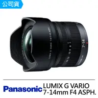 在飛比找momo購物網優惠-【Panasonic 國際牌】LUMIX G VARIO 7