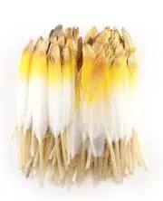 20pcs White Yellow Ombre Gold Dipped Goose Feathers 5" Natural Gold Tip Feathers