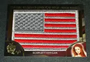 2018 Benchwarmer SCARLETT KEEGAN Hot For Teacher SUPER FLAG Pink #1/1 PLAYBOY