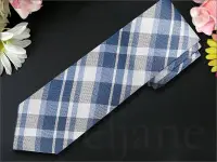 在飛比找Yahoo!奇摩拍賣優惠-Calvin Klein Tie CK 卡文克萊 藍色白色格