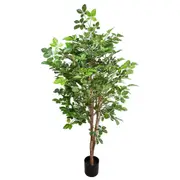 [Florabelle Living] Hornbean Tree 1.5M