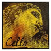 Pirastro Evah Gold 4/4 Cello Strings, Medium Gauge, Authorized Dealer