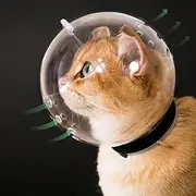 Cat Muzzle Cat Bubble Cat Helmet L Size, Breathable Cat Hood, Adjustable Kitten Astronaut Helmet Prevent from Cats Biting, Cat Ball Mask for Aggressive Cat (Size L)