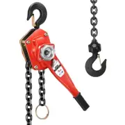 6600lbs Capacity 10ft Lift Alloy Steel Chain Block w/ Black G80 Galvanized Chain