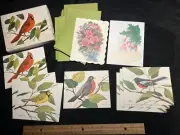 LOT of 9 Current blank Note Cards & Envelopes American Songbirds suzy's zoo +