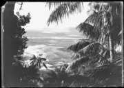 Lord Howe Island Lord Howe Island - Old Photo 5